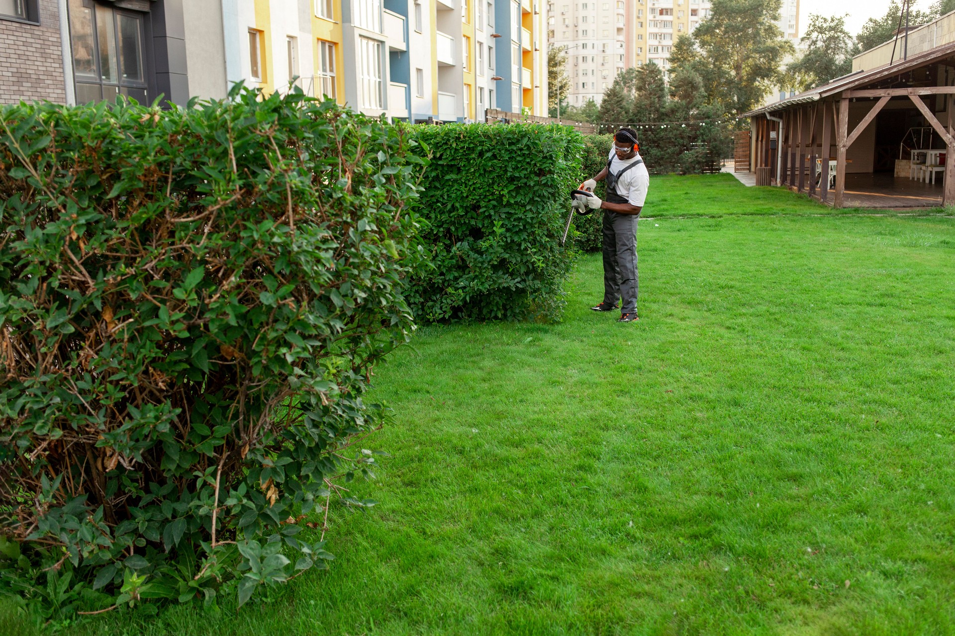 afrikanischer amerikanischer männlicher gartenarbeiter in uniform trimmt büsche mit elektrowerkzeug