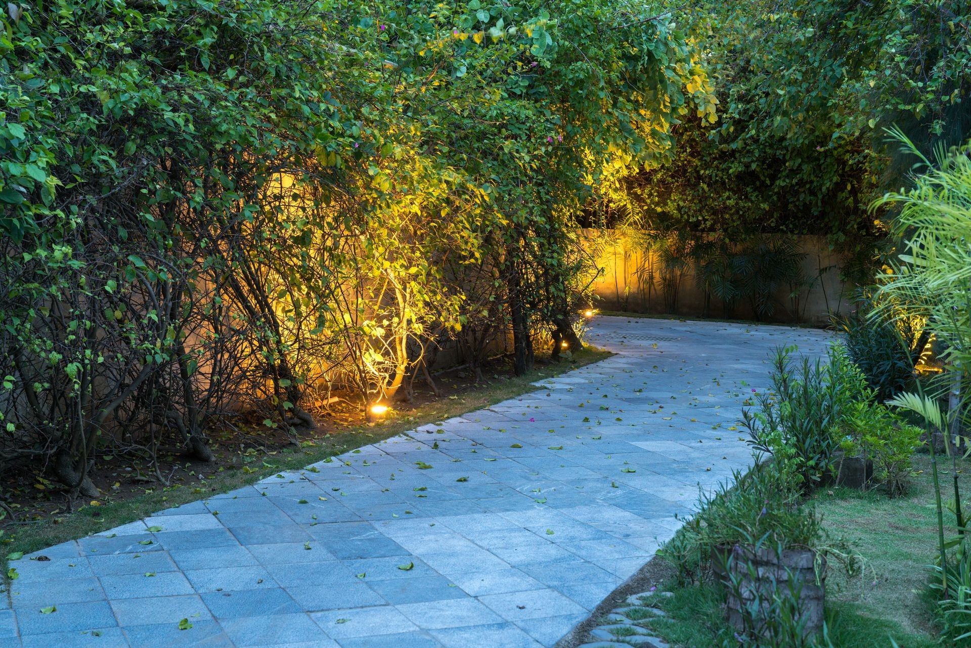 Garden path in resort with warm light and trees on side at evening, Garden Decoration.