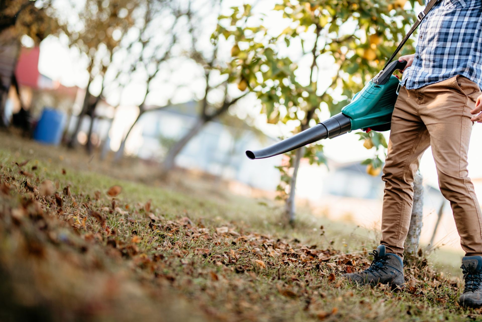 Gardener using electric leaf blower in the garden
