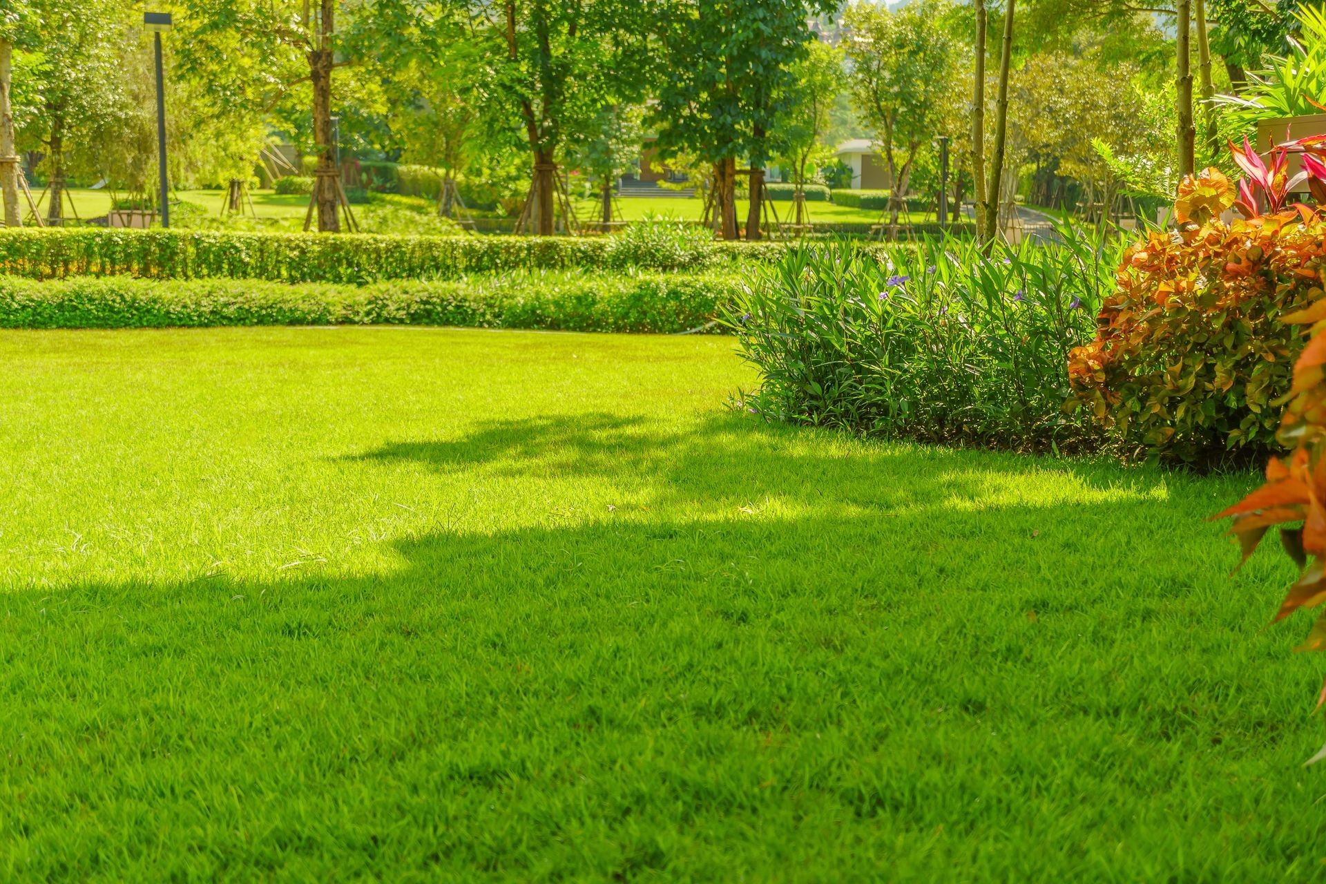 Spring in the park, Landscape design, Peaceful Garden, Green garden and lawn., Green lawn, The front lawn for background, autumn in the park.